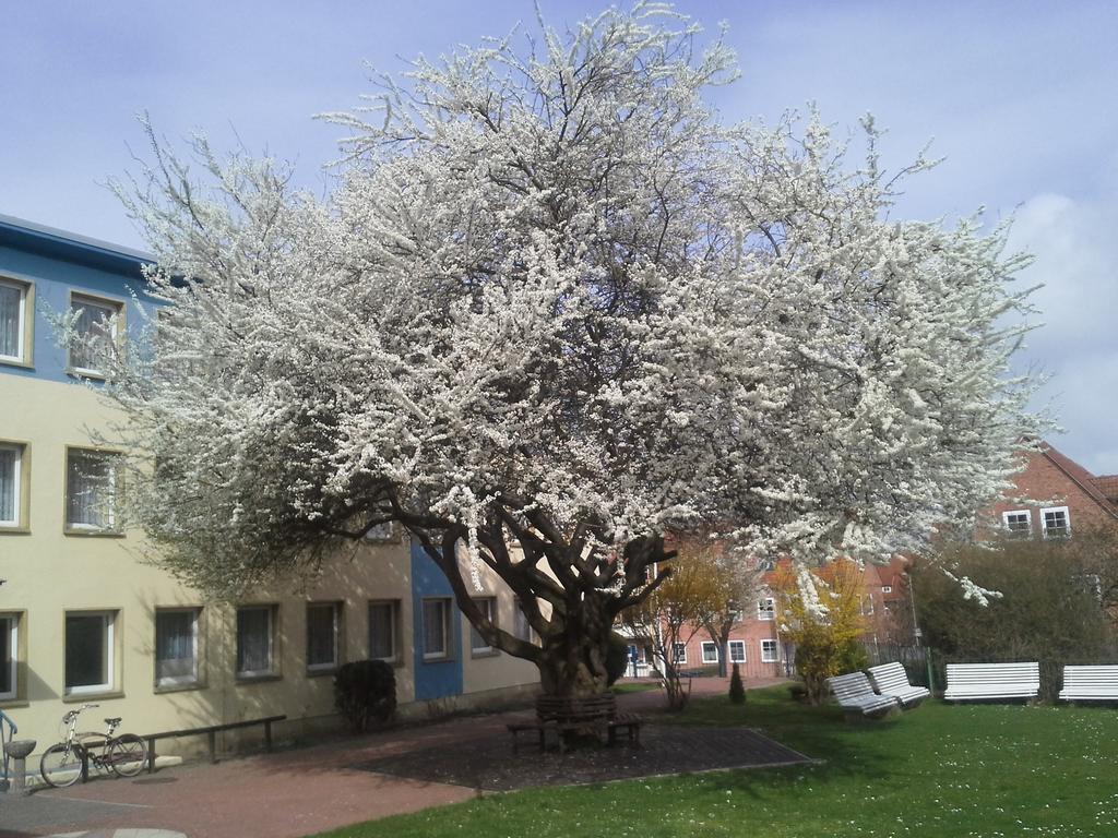 Wißmar Hotel Bertramshof מראה חיצוני תמונה